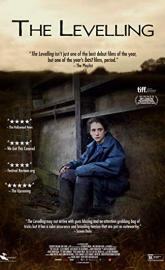 The Levelling poster