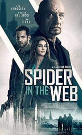 Spider in the Web poster