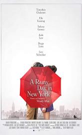 A Rainy Day in New York poster