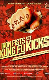 Iron Fists and Kung Fu Kicks poster
