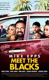 Meet the Blacks poster