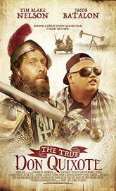 The True Don Quixote poster