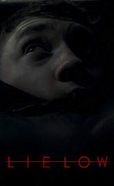 Lie Low poster