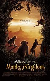 Monkey Kingdom poster