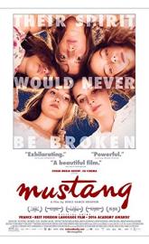 Mustang poster