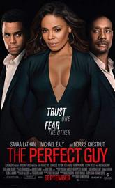 The Perfect Guy poster