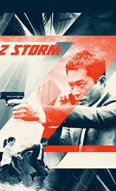 Z Storm poster