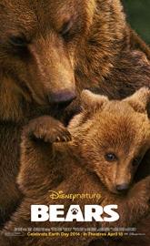 Bears poster
