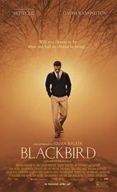 Blackbird poster