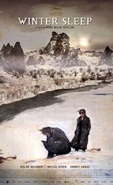 Winter Sleep poster