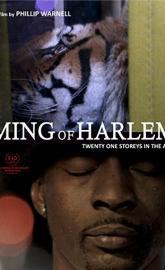 Ming of Harlem: Twenty One Storeys in the Air poster