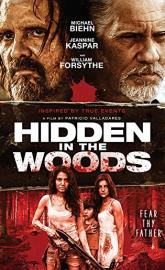 Hidden in the Woods poster