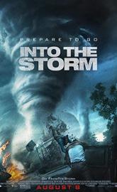 Into the Storm poster