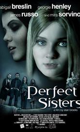 Perfect Sisters poster