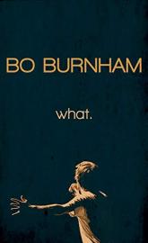 Bo Burnham: what. poster