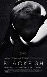 Blackfish poster