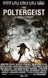 The Poltergeist of Borley Forest poster