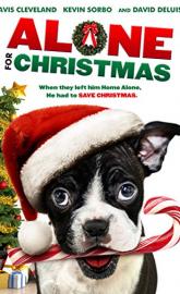 Alone for Christmas poster