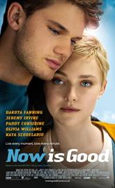 Now Is Good poster