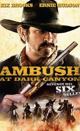 Ambush at Dark Canyon poster