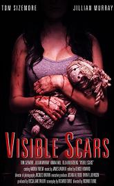 Visible Scars poster