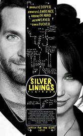 Silver Linings Playbook poster