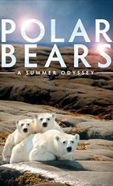 Polar Bears: A Summer Odyssey poster