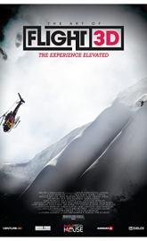 The Art of Flight poster