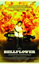 Bellflower poster