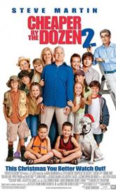 Cheaper by the Dozen 2 poster