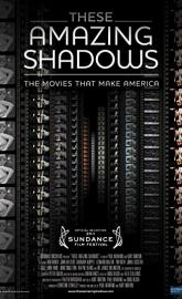 These Amazing Shadows poster