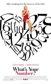What's Your Number? poster