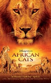 African Cats poster