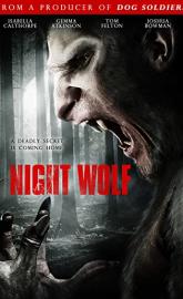 Night Wolf poster