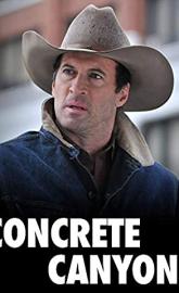 Concrete Canyons poster