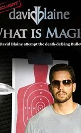 David Blaine: What Is Magic? poster