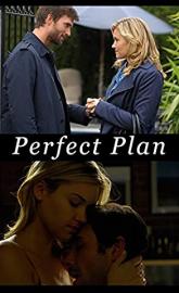 Perfect Plan poster