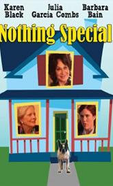 Nothing Special poster