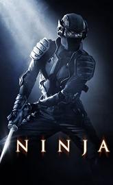 Ninja poster