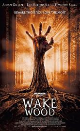 Wake Wood poster