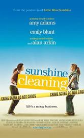 Sunshine Cleaning poster