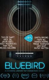 Bluebird poster