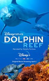 Dolphin Reef poster