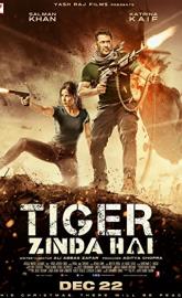 Tiger Zinda Hai poster