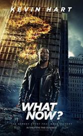 What Now? poster