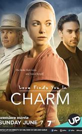 Love Finds You in Charm poster
