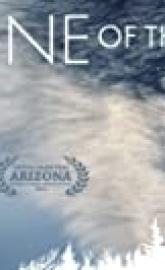 Medicine of the Wolf poster