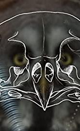 Owl Power poster