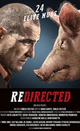 Redirected poster