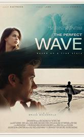 The Perfect Wave poster